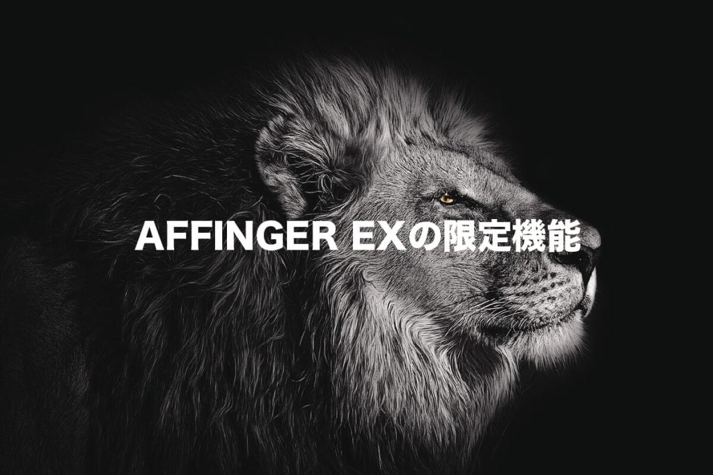 AFFINGER6 EXの限定機能9つ